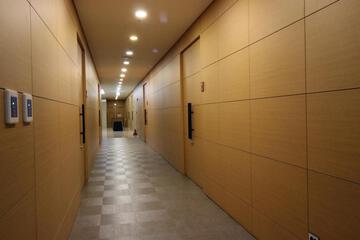 Photo 44