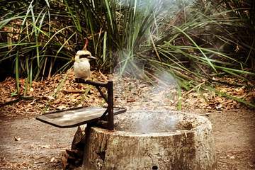 BBQ/picnic area