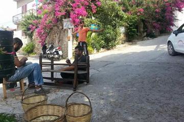Photo 25