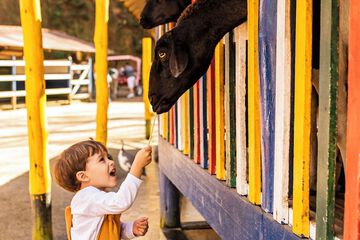 Children's activities