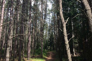 Hiking