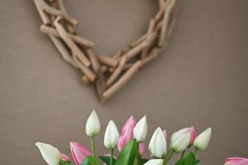 Photo 42