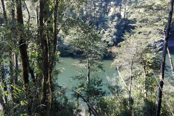 Lake view