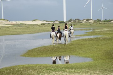 Ecotours
