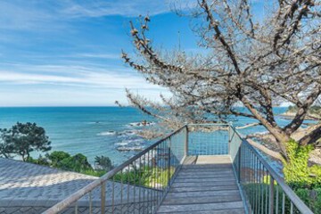Beach or Ocean View