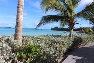 Beach/ocean view