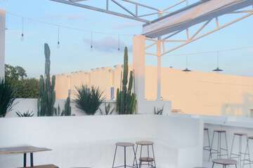 Cafe