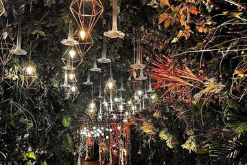 Outdoor wedding area