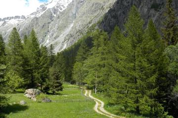 Photo 40