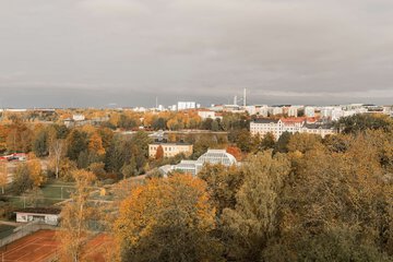 View from room