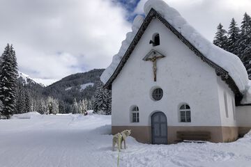 Snowshoeing