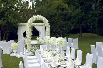 Outdoor wedding area