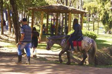 Horseback riding