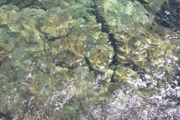 Photo 37
