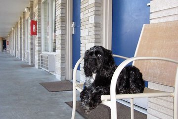 Terrace/Patio 83 of 100