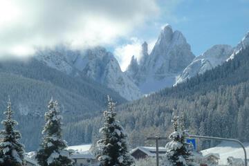 Photo 40