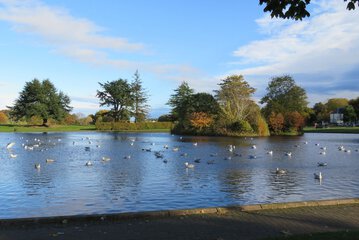 Lake