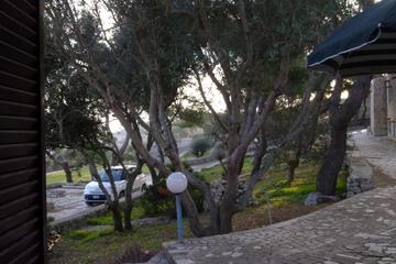Photo 52