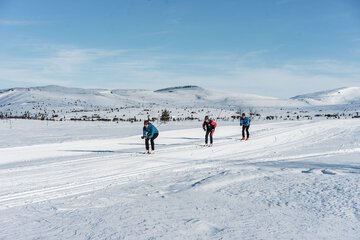 Skiing