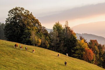 Hiking