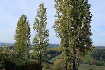 Ecotours