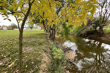 Land view from property