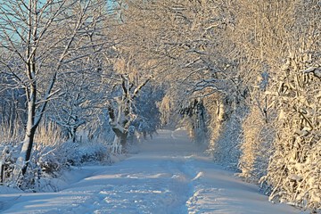 Snow and ski sports