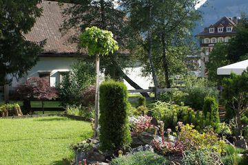 Outdoor wedding area