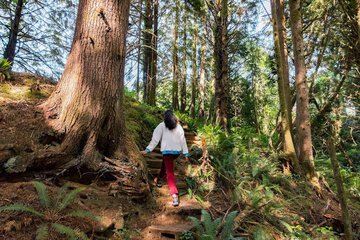 Outdoor Activities 113 of 121