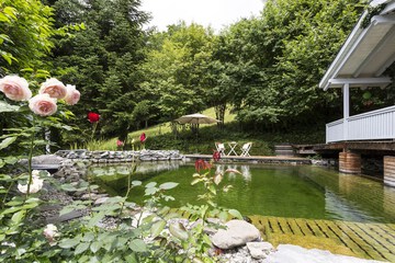Natural pool