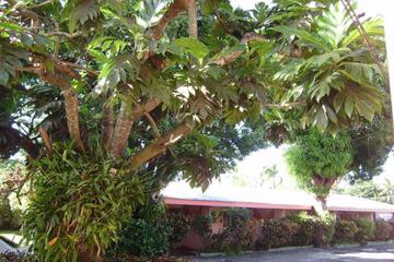 Photo 43
