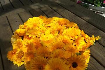 Photo 24
