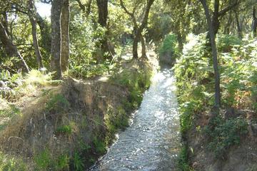 Photo 51