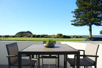 Beach/ocean view