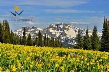 Point of interest