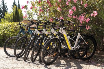 Bicycling