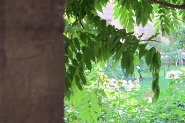 Photo 52