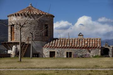 Photo 24