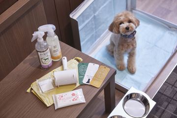 Room amenity