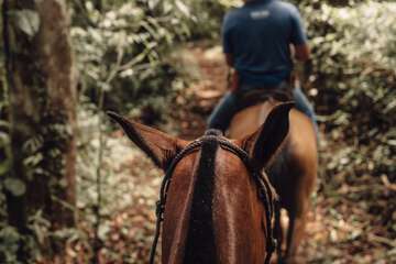 Ecotours