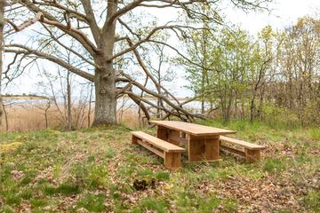 BBQ/picnic area