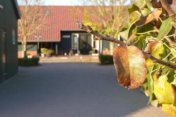 Photo 16