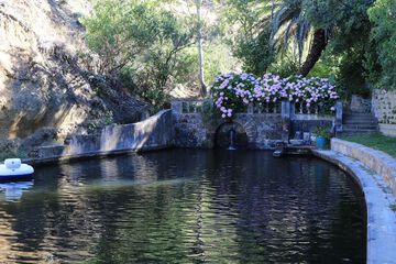 Natural pool