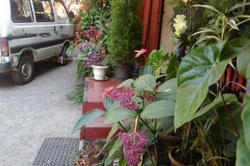 Photo 43