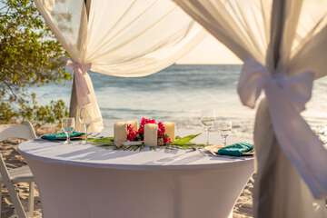 Couples dining