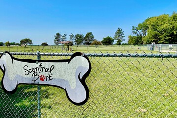 Pet-friendly amenities