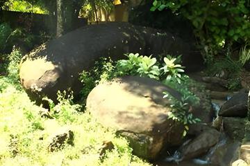 Photo 35
