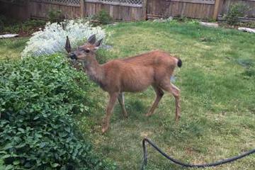 Photo 35