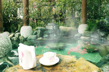 Turkish bath