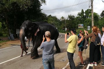 Ecotours